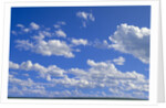 Cumulus Clouds Over Summer Tundra by Anonymous