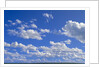 Cumulus Clouds Over Summer Tundra by Anonymous