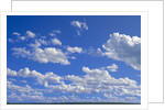 Cumulus Clouds Over Summer Tundra by Anonymous