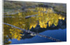 Beaver Pond and Reflection of Golden Aspens by Anonymous