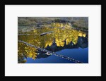 Beaver Pond and Reflection of Golden Aspens by Anonymous