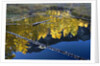 Beaver Pond and Reflection of Golden Aspens by Anonymous