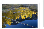 Beaver Pond and Reflection of Golden Aspens by Anonymous
