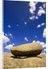 Lichen Covered Boulder on Rocky Slab by Anonymous