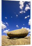 Lichen Covered Boulder on Rocky Slab by Anonymous