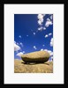 Lichen Covered Boulder on Rocky Slab by Anonymous