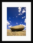 Lichen Covered Boulder on Rocky Slab by Anonymous
