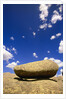 Lichen Covered Boulder on Rocky Slab by Anonymous