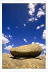 Lichen Covered Boulder on Rocky Slab by Anonymous