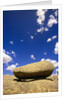 Lichen Covered Boulder on Rocky Slab by Anonymous