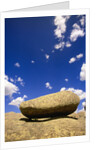 Lichen Covered Boulder on Rocky Slab by Anonymous