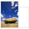Lichen Covered Boulder on Rocky Slab by Anonymous