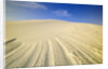 Wind Made Patterns on White Gypsum Dune by Anonymous