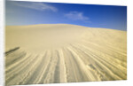 Wind Made Patterns on White Gypsum Dune by Anonymous