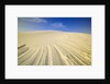 Wind Made Patterns on White Gypsum Dune by Anonymous