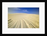 Wind Made Patterns on White Gypsum Dune by Anonymous