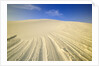 Wind Made Patterns on White Gypsum Dune by Anonymous