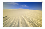 Wind Made Patterns on White Gypsum Dune by Anonymous