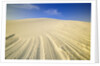 Wind Made Patterns on White Gypsum Dune by Anonymous