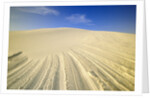 Wind Made Patterns on White Gypsum Dune by Anonymous