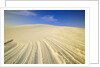 Wind Made Patterns on White Gypsum Dune by Anonymous