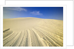 Wind Made Patterns on White Gypsum Dune by Anonymous