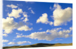 Cumulus Clouds Floating Above Prairie in the Fall by Anonymous