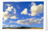 Cumulus Clouds Floating Above Prairie in the Fall by Anonymous