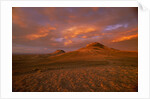 Oregon Buttes in Red Sunrise Glow by Anonymous