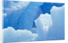 Blue Icebergs by Anonymous