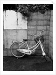 Bicycle in Courtyard by Anonymous