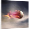 Fast Baseball by Anonymous