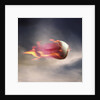 Fast Baseball by Anonymous