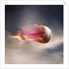Fast Baseball by Anonymous