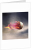 Fast Baseball by Anonymous