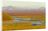 Mountains and Winding River in Tundra Valley by Anonymous