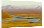 Mountains and Winding River in Tundra Valley by Anonymous