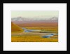 Mountains and Winding River in Tundra Valley by Anonymous