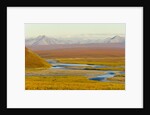 Mountains and Winding River in Tundra Valley by Anonymous