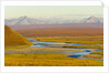 Mountains and Winding River in Tundra Valley by Anonymous