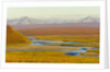 Mountains and Winding River in Tundra Valley by Anonymous