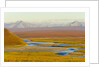 Mountains and Winding River in Tundra Valley by Anonymous