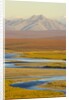 Mountains and Winding River in Tundra Valley by Anonymous