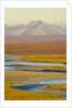 Mountains and Winding River in Tundra Valley by Anonymous