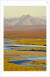 Mountains and Winding River in Tundra Valley by Anonymous