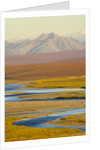 Mountains and Winding River in Tundra Valley by Anonymous