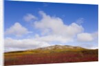 Mountain Range in Tundra Landscape by Anonymous