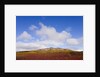 Mountain Range in Tundra Landscape by Anonymous