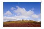 Mountain Range in Tundra Landscape by Anonymous