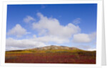 Mountain Range in Tundra Landscape by Anonymous